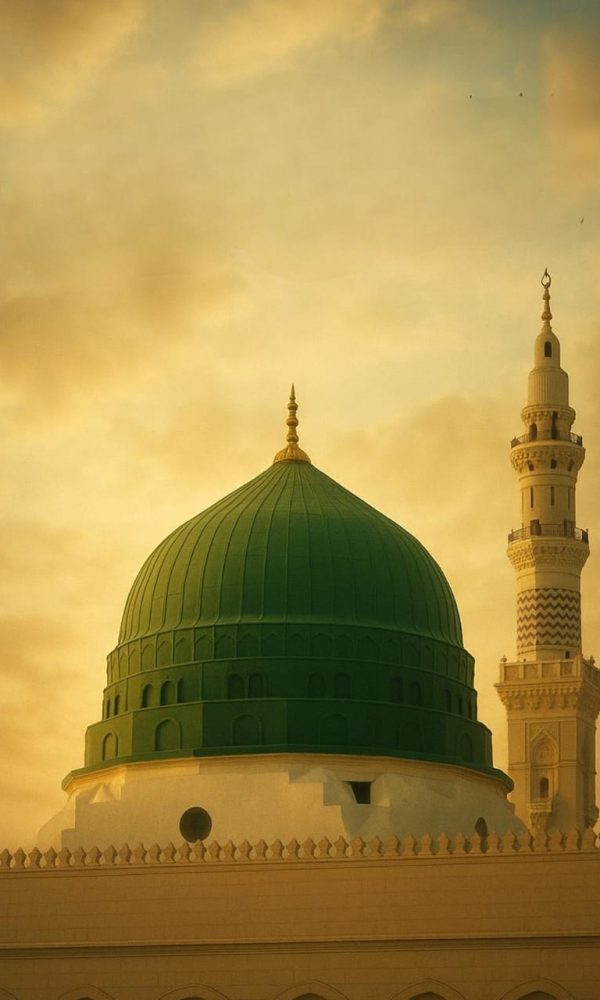 537194309 1280256080563916 9206200183158634040 n 600x1000