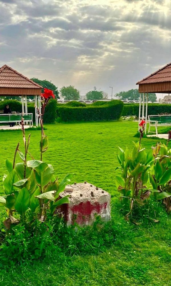 658180065 1457798896142966 4302630467377197807 n 600x1000